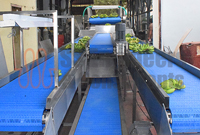 Banana Processing and Shipping Center